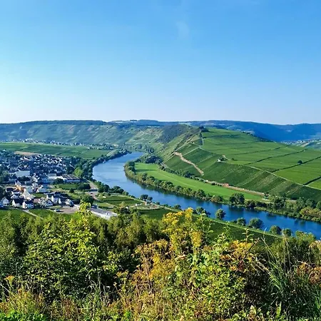 Herres Alte Metzgerei Hotel Leiwen