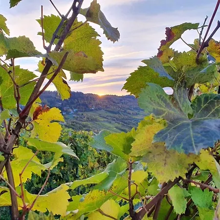Herres Alte Metzgerei Hotel Leiwen