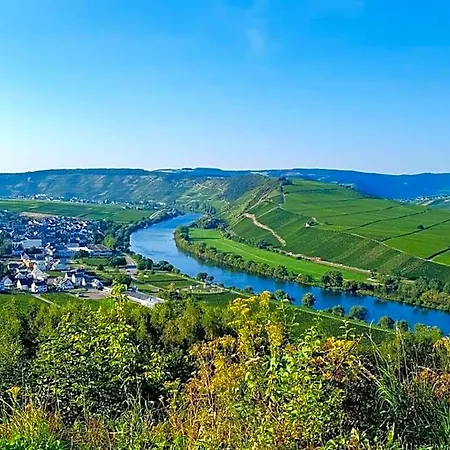 Отель Herres Alte Metzgerei Лайвен