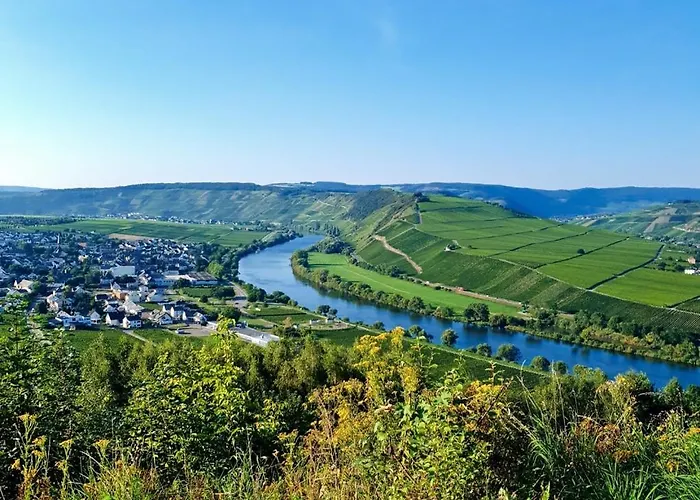 Herres Alte Metzgerei Otel Leiwen