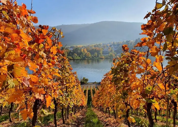 Herres Alte Metzgerei