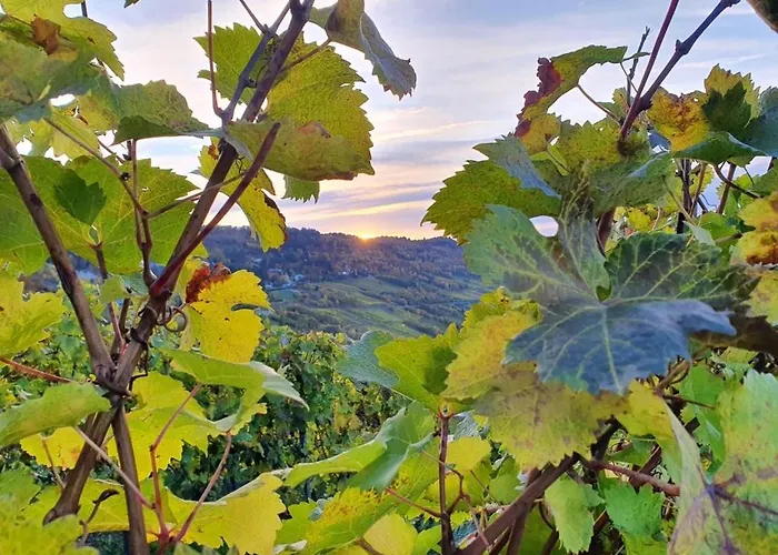 Herres Alte Metzgerei Otel Leiwen